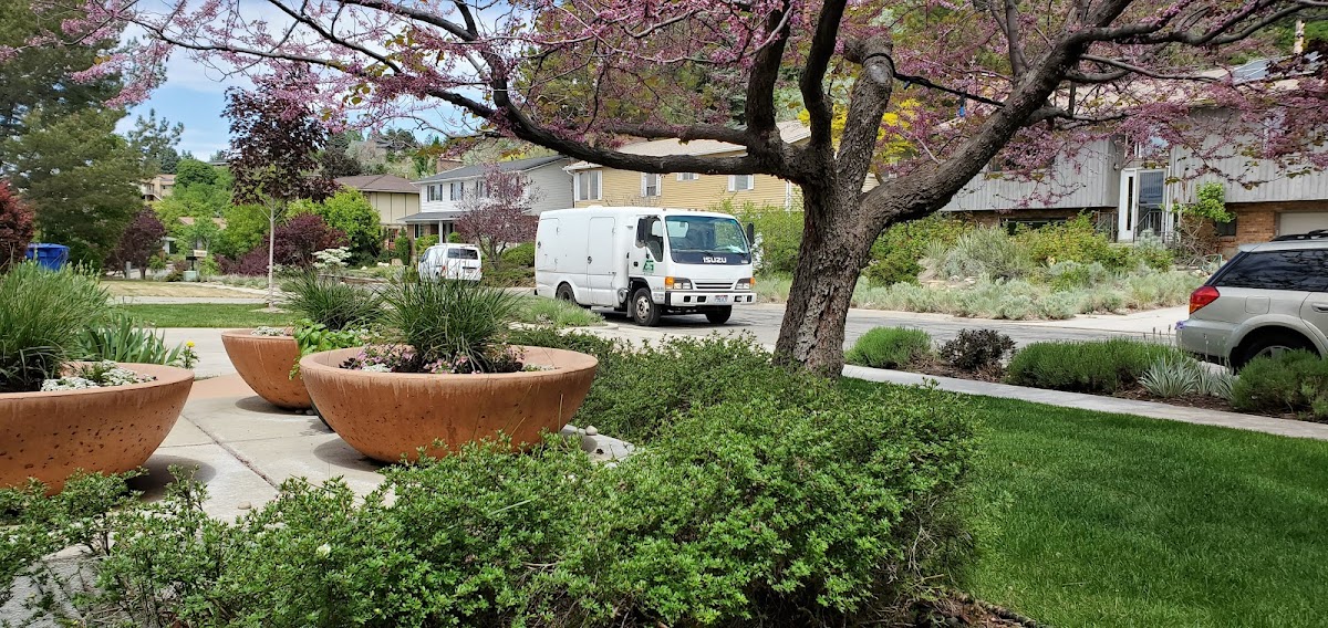 All Green Pest Control and Lawn Care