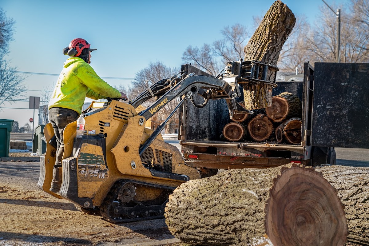 All Wood's Tree Service