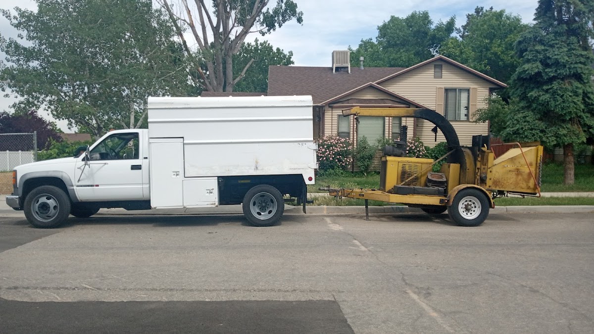 Andy's Stump And Tree Service