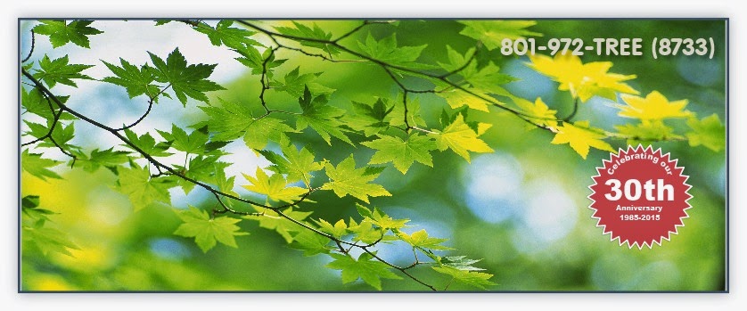 Arborcare-Arborscape, Inc.