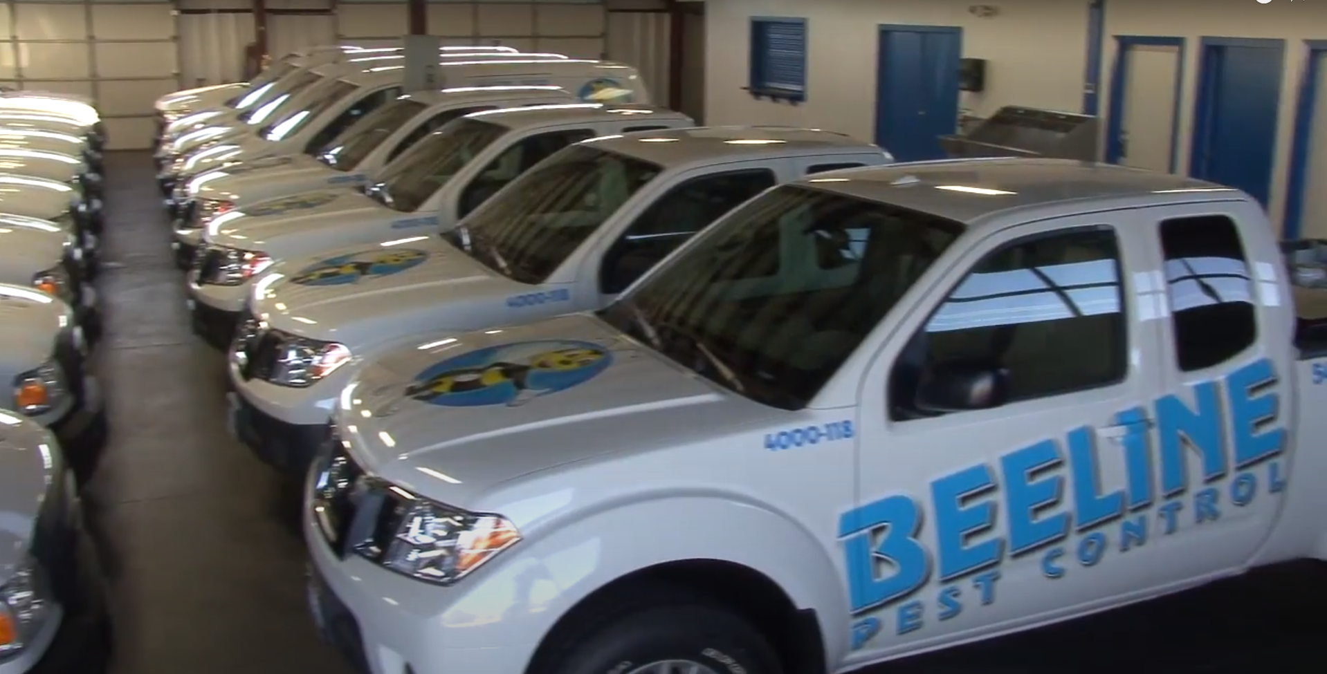 Beeline Pest Control