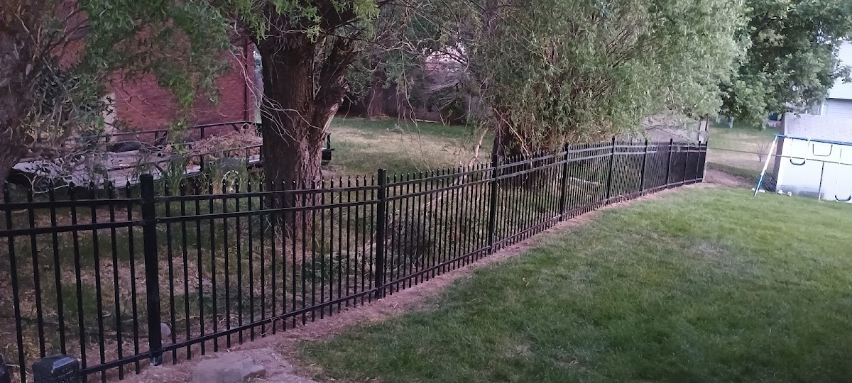 Black's Lawn and Junk