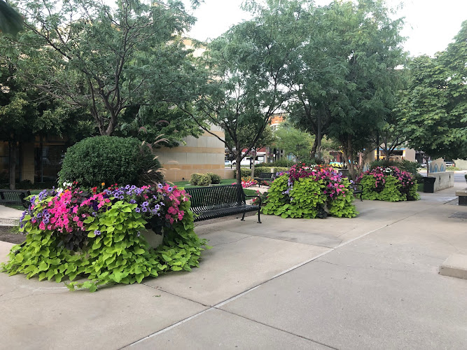 AJ Outdoor Maintenance