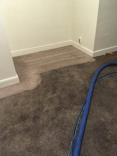 Alert Cleaning & Restoration