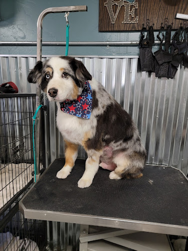 All Around Royalty Grooming & Kennel LLC