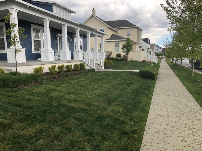 All-in-One Landscape