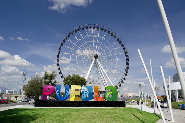 Alma's LDS Tours LLC