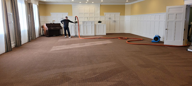 Alpine Professional Carpet Care