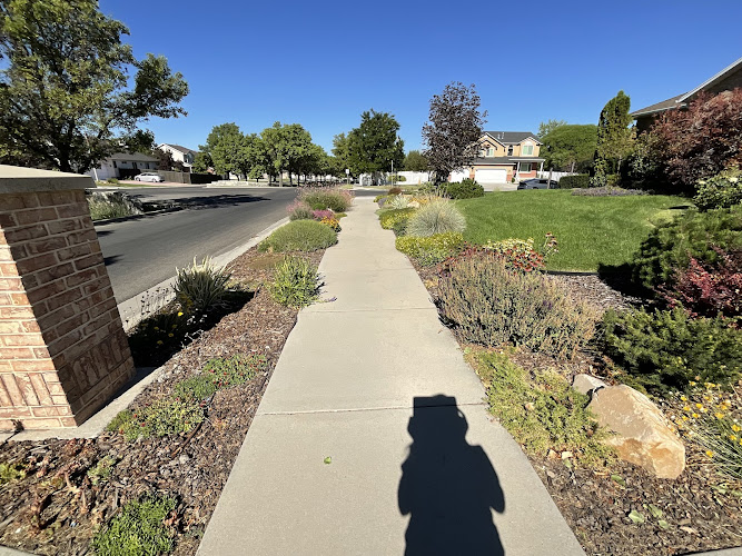 Andrea Washburn Landscaping