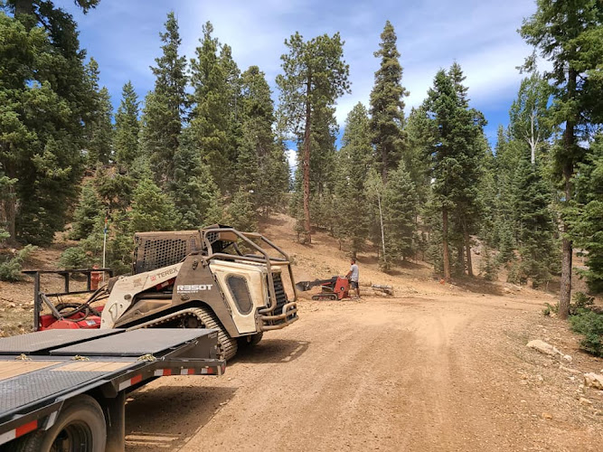 Apex Tree Professionals