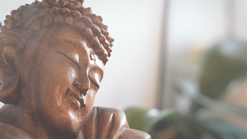 Autumn Bear Wellness Collective