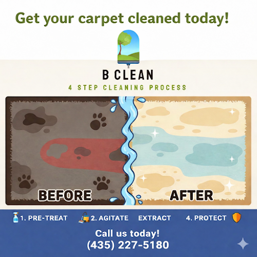 B Clean 4 Step Window and Carpet Cleaning