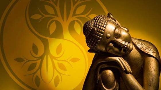 Balanced Synergistic Massage