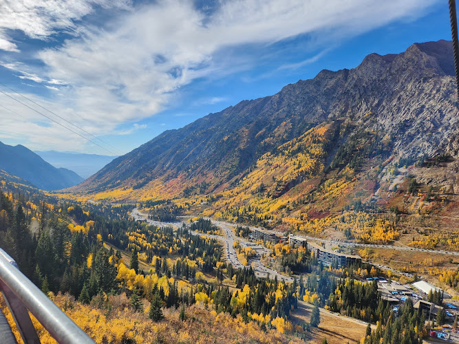 Better Home Handyman