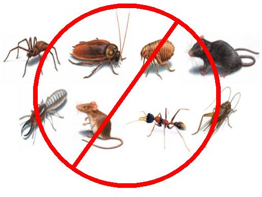 Blue Mountain Exterminating Inc.