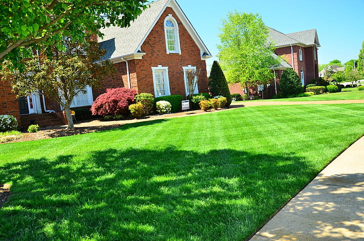 Bluegrass Lawn Care LLC