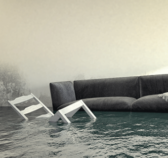 Boss Systems Carpet Cleaning