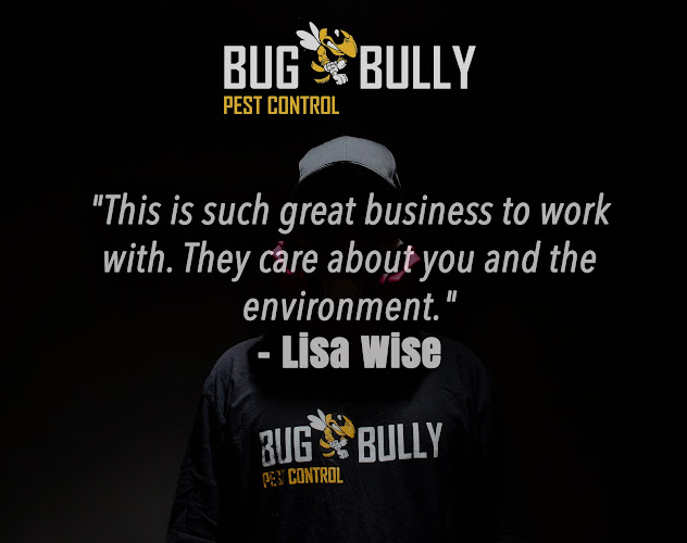 Bug Bully Pest Control
