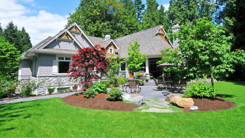 Burro Excavation and Landscapes