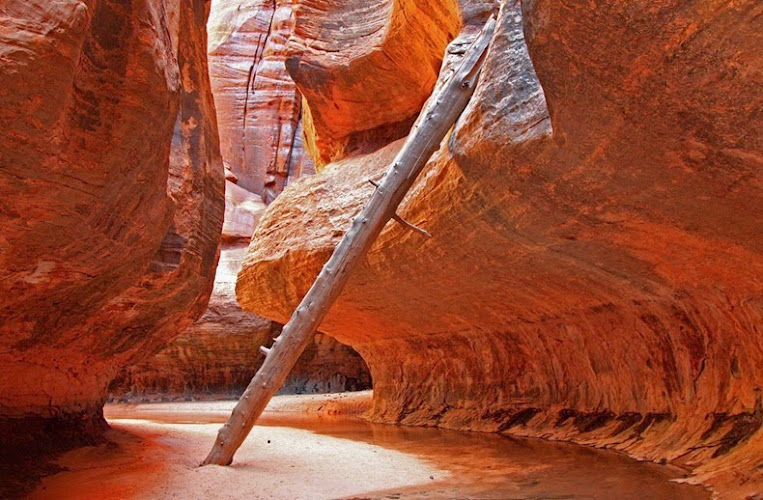 Cedar Breaks Chiropractic