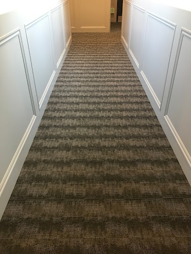 Cleaner Carpets & Surfaces