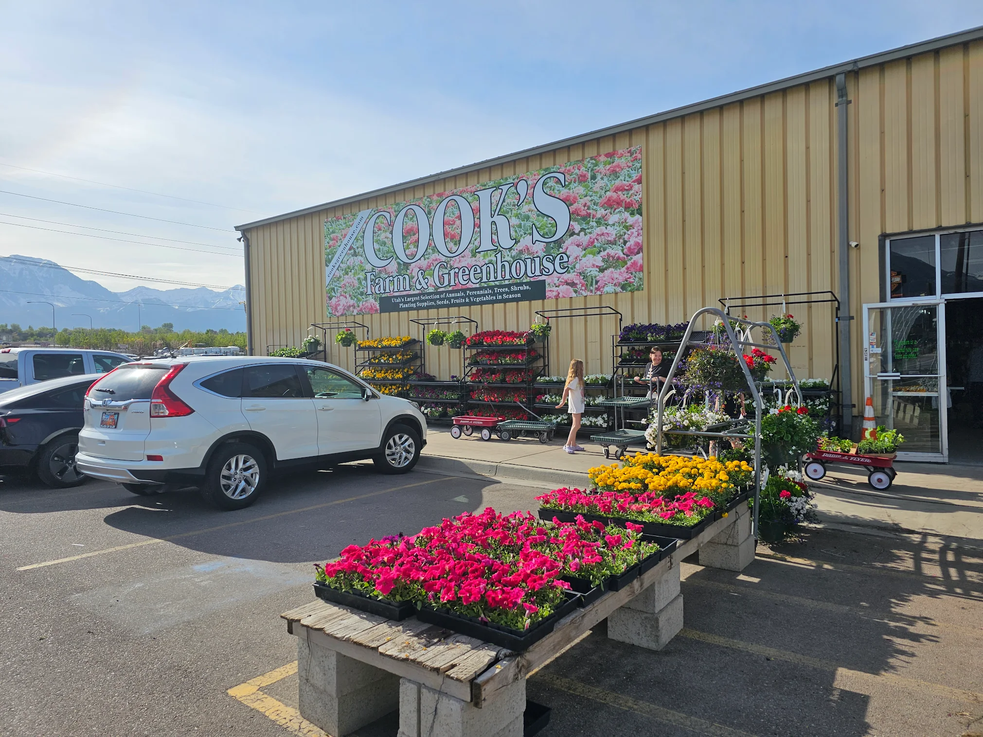 Cook’s Farm & Greenhouse
