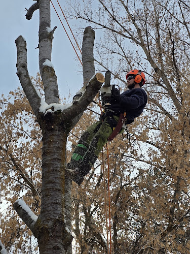 David's Tree Care