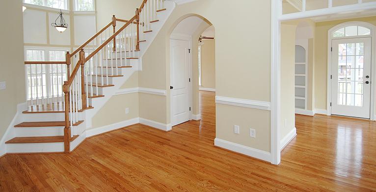 Dizzy Devils Maid Services