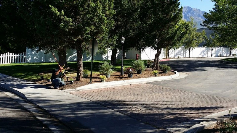 Ds Landscaping & Maintenance Inc.