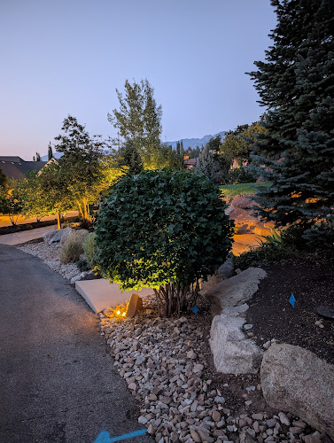 Duke Yard & Junk Company LLC