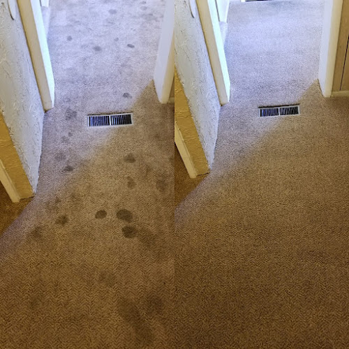 Earley's Carpet Cleaning
