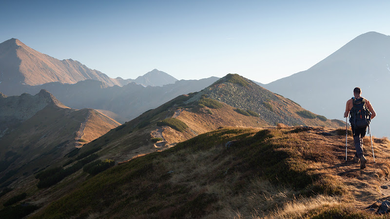 Elevate Wellness Chiropractic