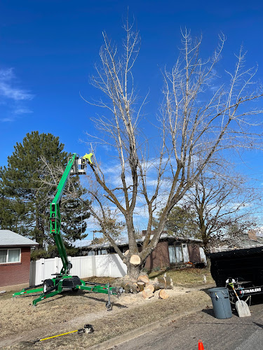 Elise Tree Service