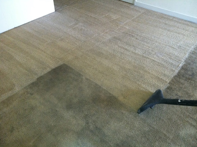 Elite Carpet & Tile Cleaning