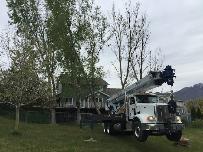 Ellison Tree Company