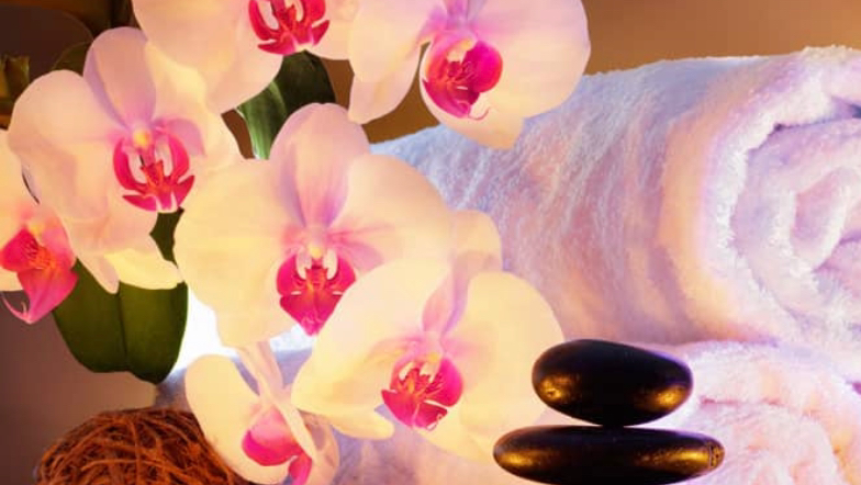 Enchanted Hands LLC Therapeutic Massage and Bodywork