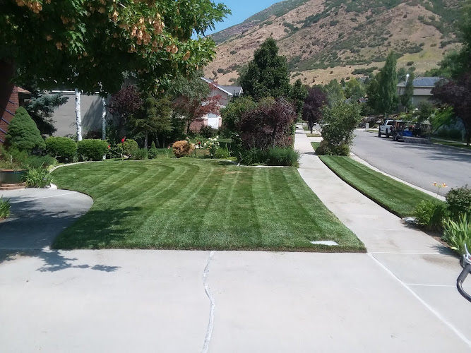 Evergreen Lawn Pros