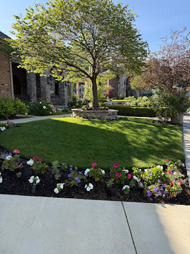 Frodsham Better Lawns & Trees