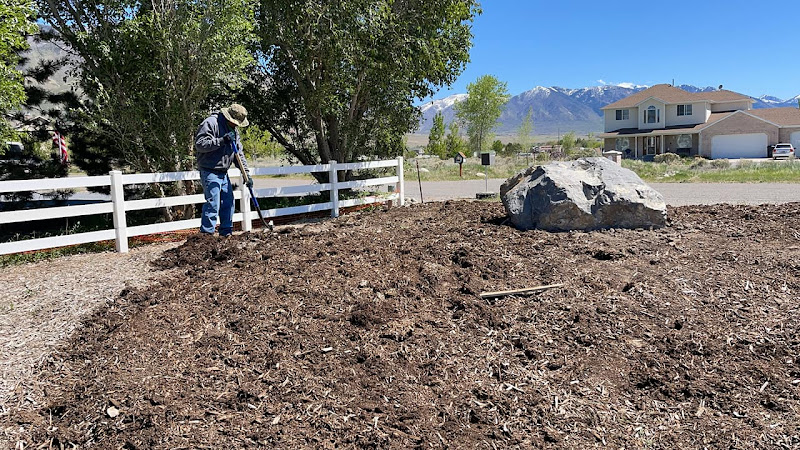 Gamboa's Landscaping