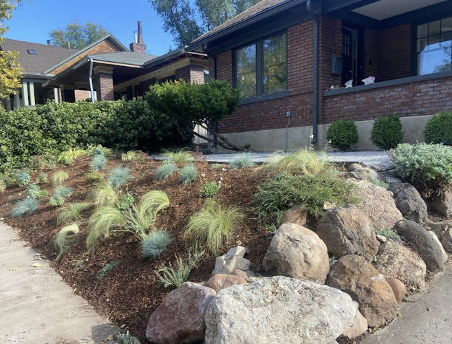 Gardens by Emily Rose