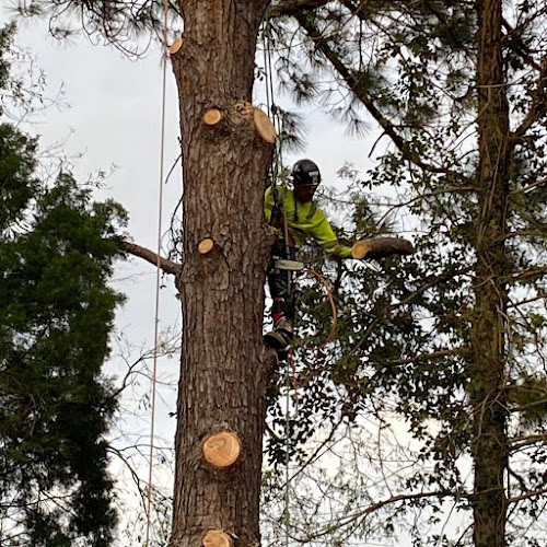 Go Green Tree Service