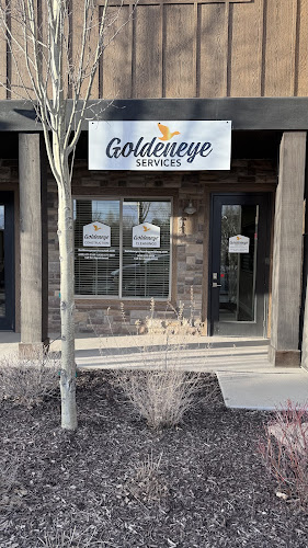 Goldeneye Construction LLC