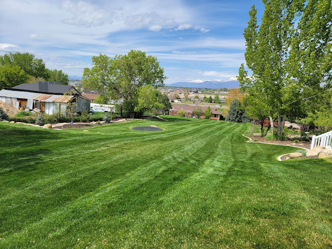 Good Morning Lawn Care and Landscaping