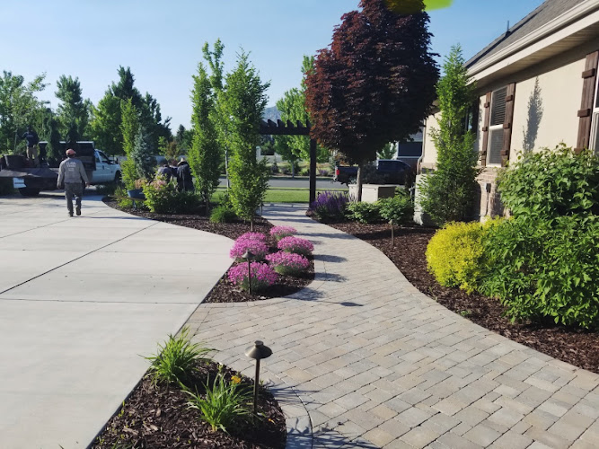 Green palace landscape