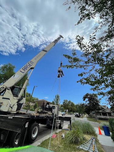 Greenlite Certified Tree Care