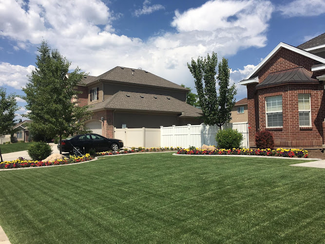 Gridiron Lawn and Bug