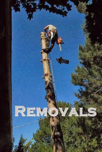 Heritage Tree Experts