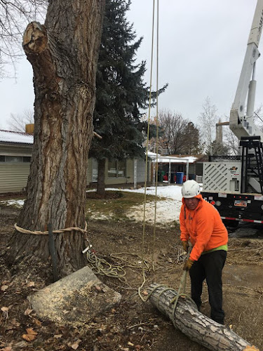 Hidden Oak Tree Care