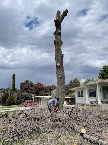 High Mountain Tree Care LLC