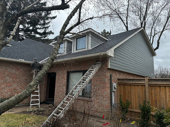 Ideal Siding Park City